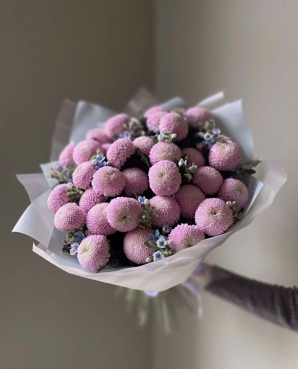 Bouquet of 35 lilac chrysanthemums “Momoko” and 15 forget-me-nots in the online flower shop BlumenHorizon